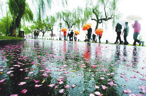 春雷响“花雨”落(图)