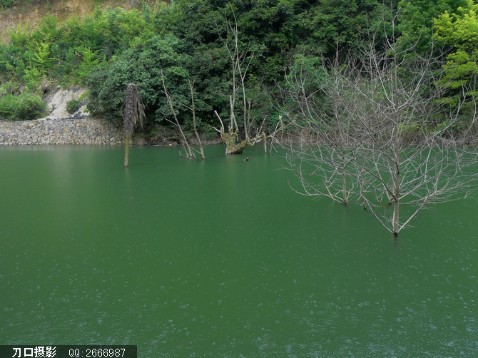 牛头山，也就那么一点点风景：7月27日自驾游 - shaofaming25 - 那一片纯净的阳光和树林